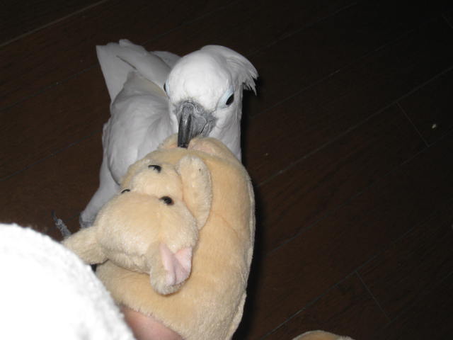 e0107730_21525847.jpg
