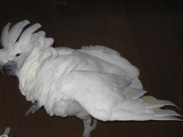 e0107730_21555015.jpg