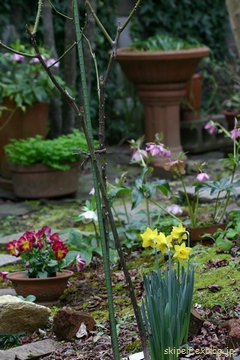 c0134734_112354.jpg