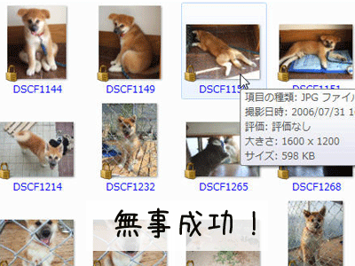 f0008935_14555343.gif