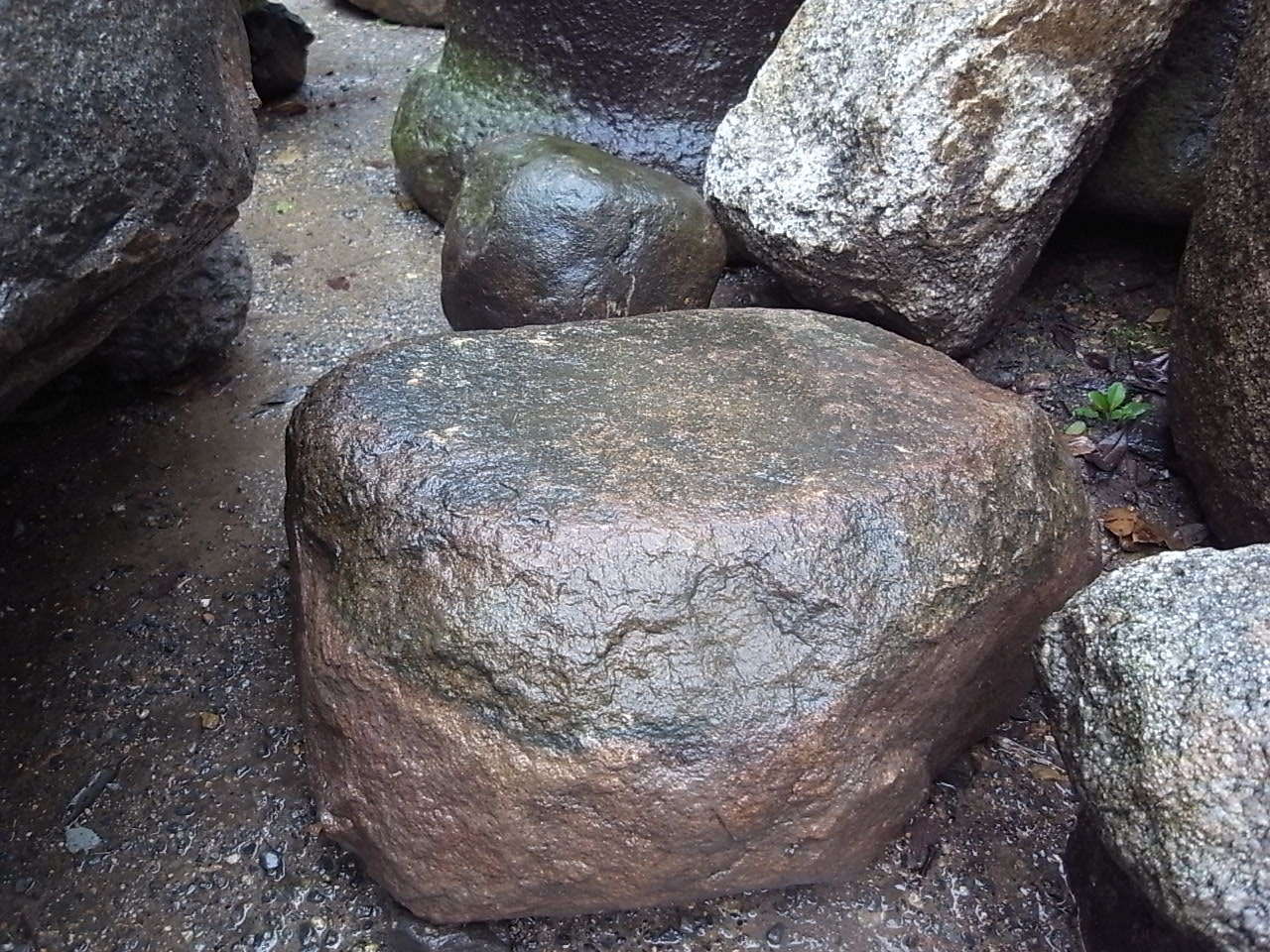 e0126548_9233536.jpg