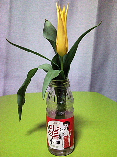 a0157160_1953453.jpg