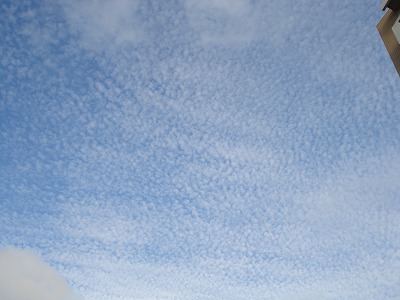b0086362_22194093.jpg
