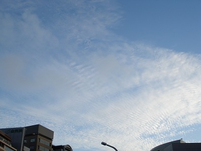 b0086362_22201292.jpg
