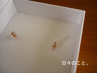 d0098182_1441229.jpg