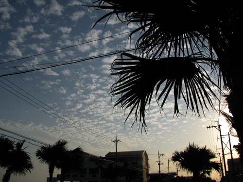 c0064389_202133.jpg