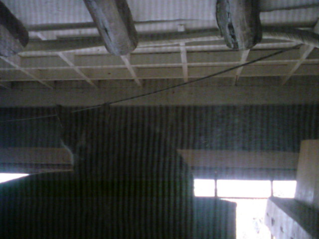 e0128389_8571939.jpg