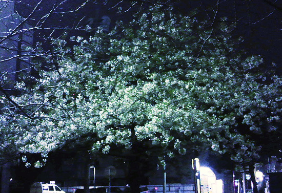 c0214190_321891.jpg