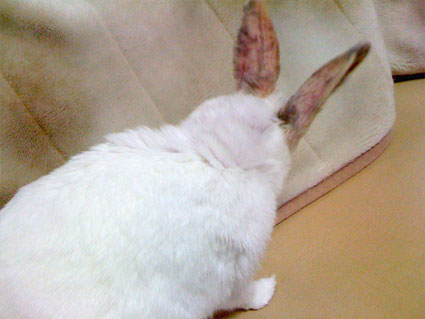 f0201191_14591423.jpg