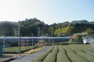 e0094492_1441050.jpg