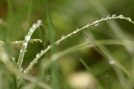 d0133693_2017773.jpg
