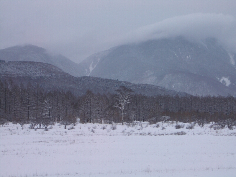 b0172805_2103350.jpg
