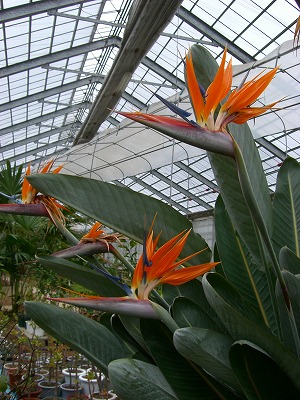 c0117007_21524392.jpg