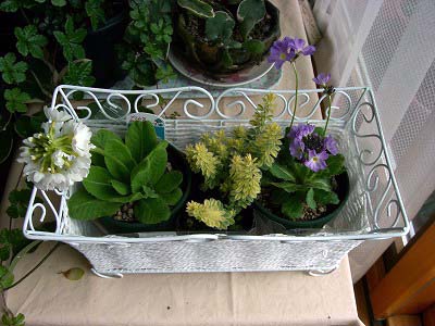 c0117007_21595144.jpg