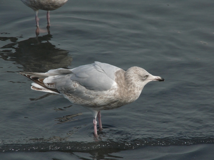 b0137208_1432587.jpg