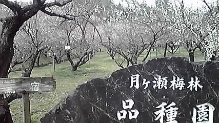 b0125311_16562224.jpg