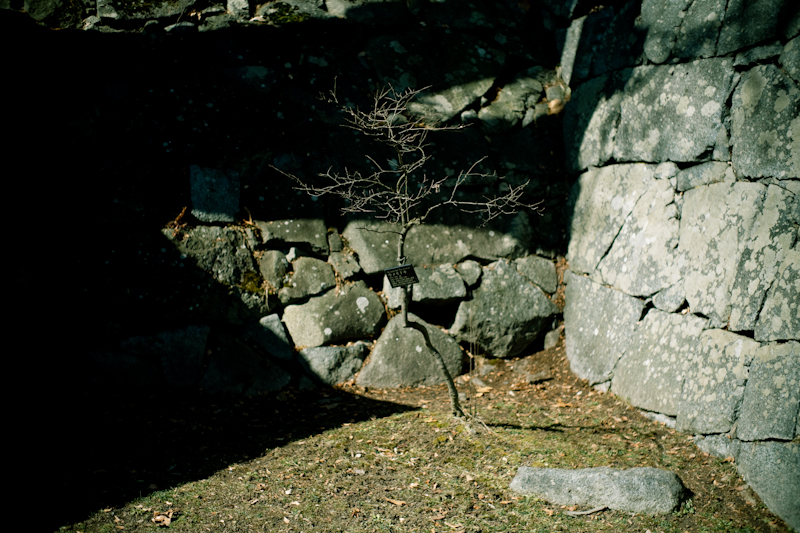 d0146912_22321024.jpg