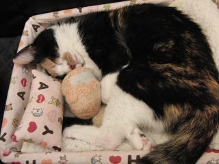 c0201113_1645150.jpg