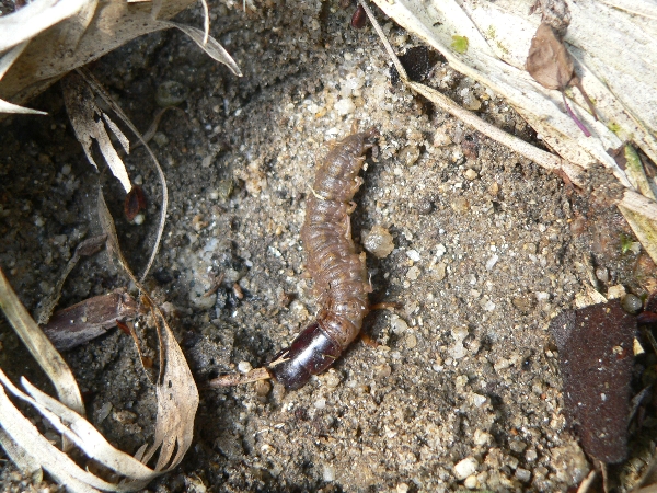 e0002314_2014484.jpg