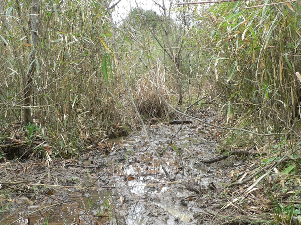 e0002314_20212717.jpg
