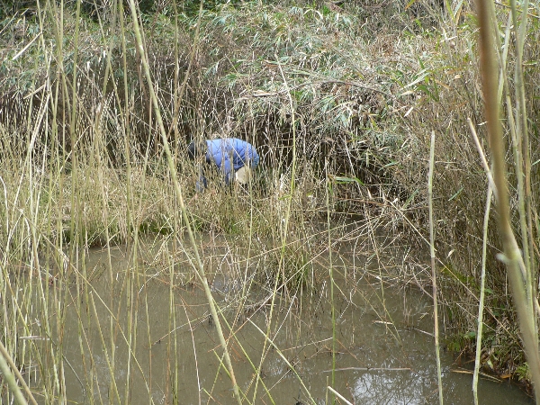 e0002314_20253372.jpg