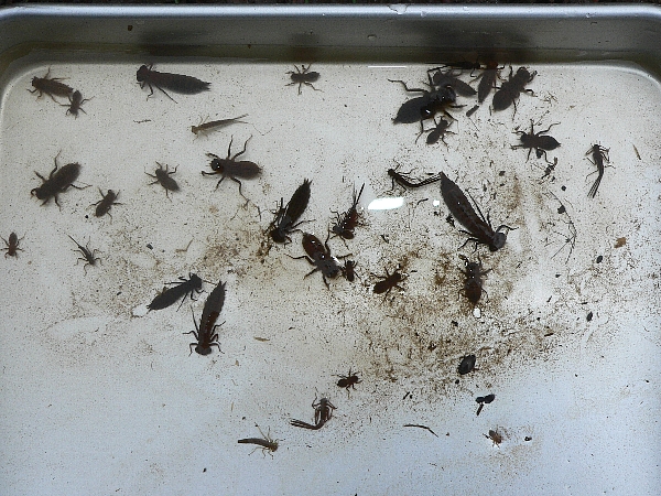 e0002314_2031916.jpg