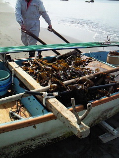 b0052816_8333357.jpg