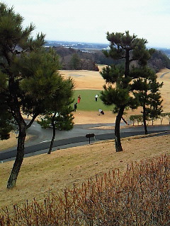 b0052816_8383391.jpg