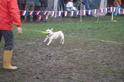 e0121418_2013066.jpg