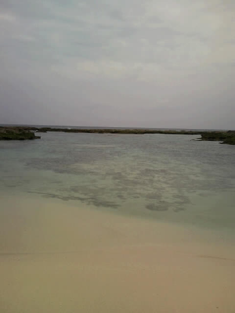 f0197325_1047442.jpg