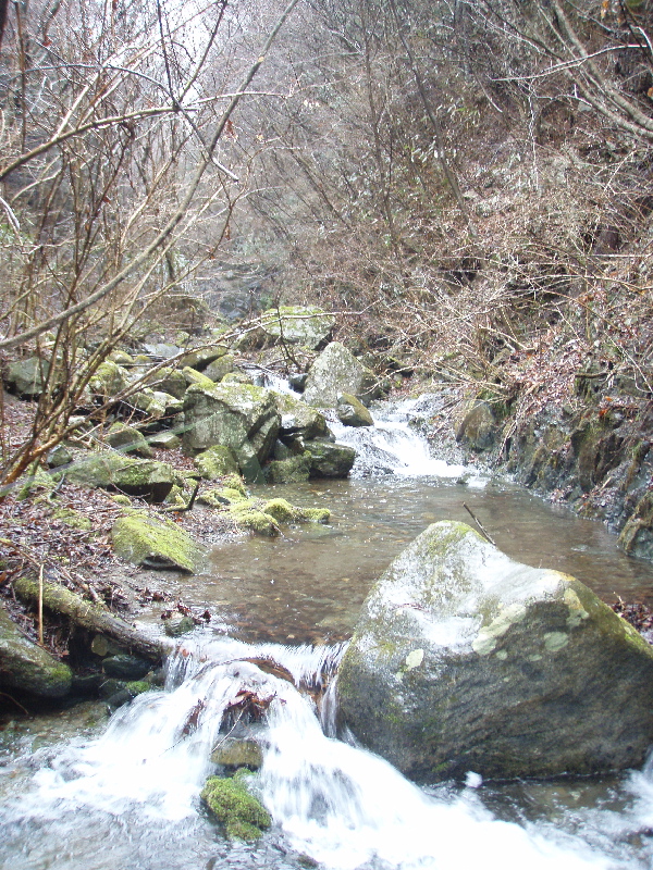 f0103126_18444826.jpg