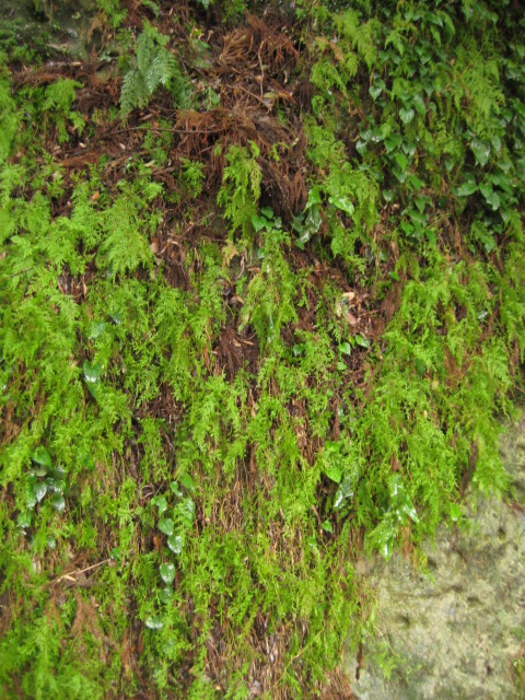 d0147727_2022056.jpg