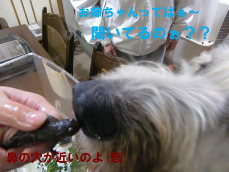 f0176830_239999.jpg