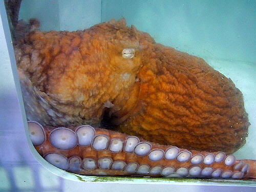d0017632_21493598.jpg