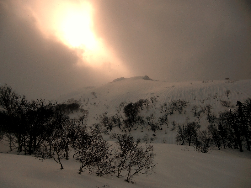 c0122445_2344736.jpg