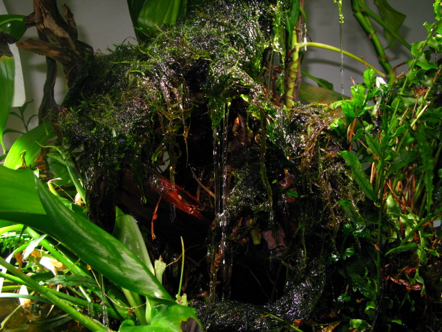 f0198950_20435241.jpg
