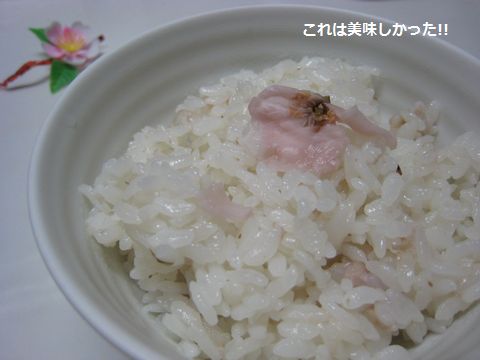 a0090451_23121127.jpg