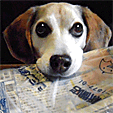 b0005652_1651359.gif