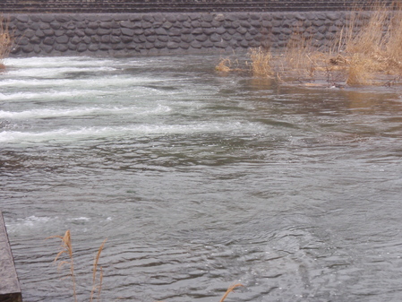 b0177355_0175578.jpg