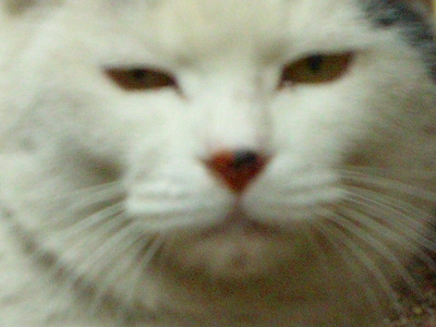 c0228356_17264672.jpg