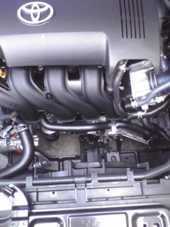 f0091057_340461.jpg