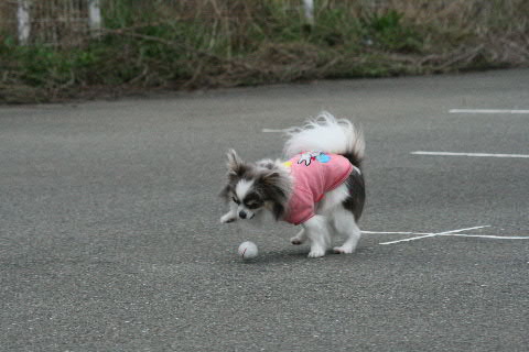 b0137459_0205411.jpg