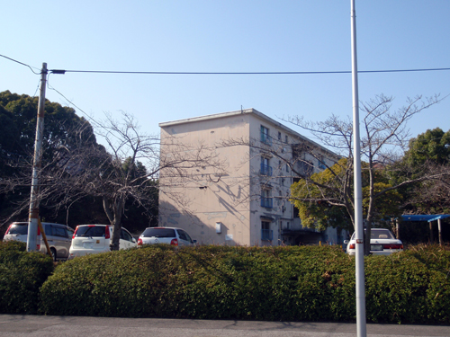 d0083859_11294491.jpg
