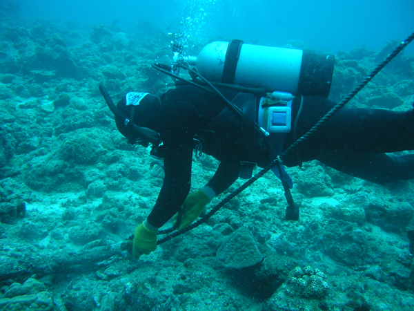 b0062363_1926686.jpg