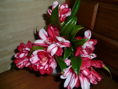 d0105063_11274815.jpg