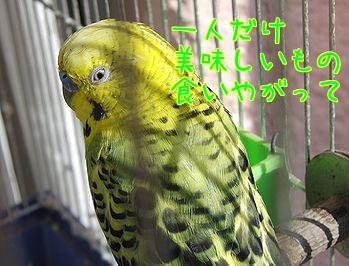 f0196665_1425367.jpg