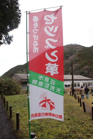 a0091666_20524855.jpg
