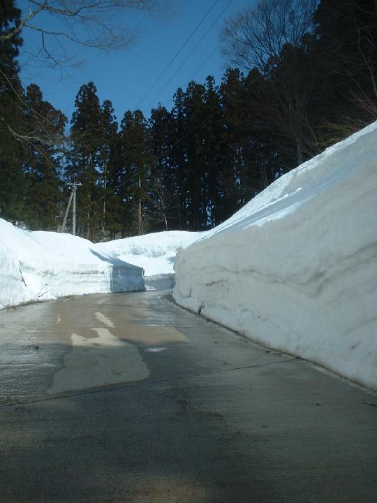 b0032167_20334.jpg