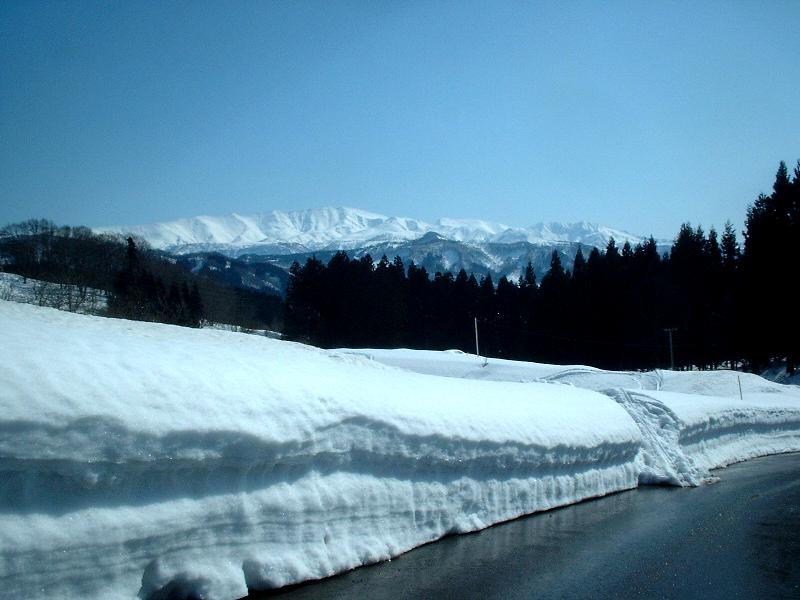 b0032167_23099.jpg