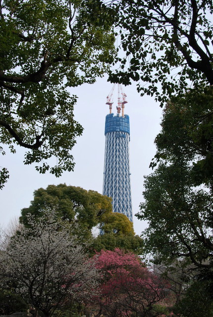 b0174068_0215960.jpg